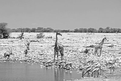 People walking on beach
