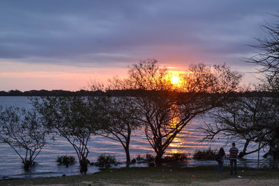 Silhouette trees by lake against sky during sunset