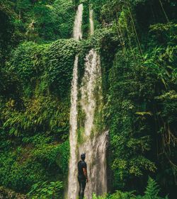 Man amidst plants in forest