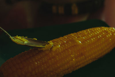 Close-up of yellow leaf on table