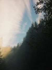 Low angle view of trees against cloudy sky