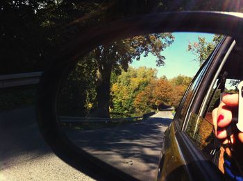 Cropped image of woman on road