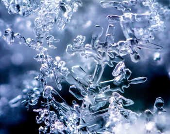 Close-up of ice over water against white background