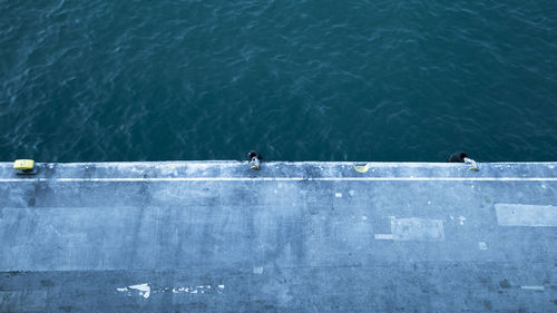 High angle view of ducks on sea shore