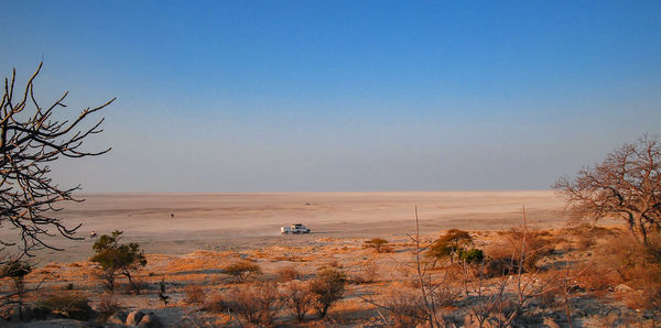 Scenic view of landscape against clear sky