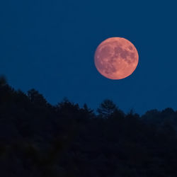 Low angle view of moon in sky at night