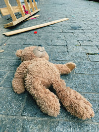 High angle view of stuffed toy on street in city