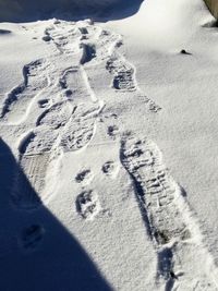 High angle view of footprints on snow covered field