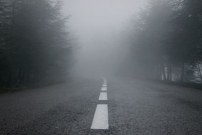 Empty road along trees