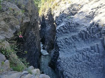 High angle view of starfish on rock formation