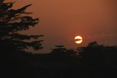 Silhouette trees against orange sky
