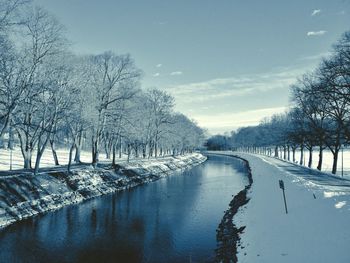 Bare trees on snow covered landscape