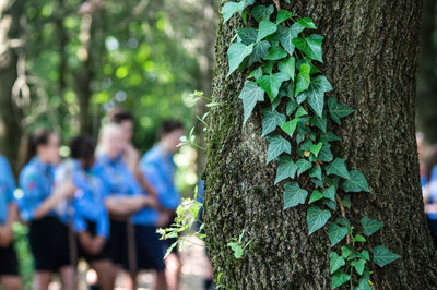 People on tree trunk in forest