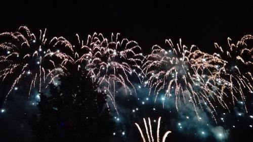 Low angle view of firework display at night