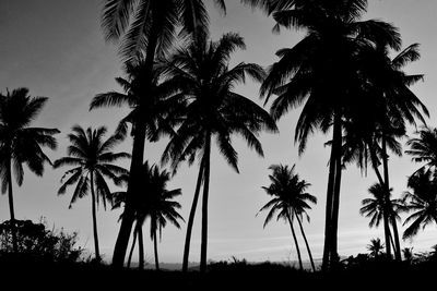 Silhouette palm trees against sky during sunset