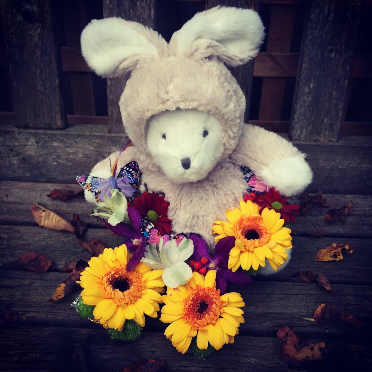 teddy bear, stuffed toy, animal representation, toy, childhood, toy animal, easter bunny, no people, flower, nature, close-up, outdoors, day