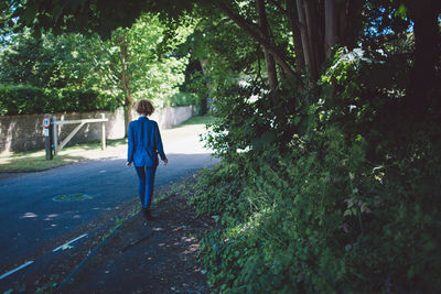 Rear view of a man walking along trees