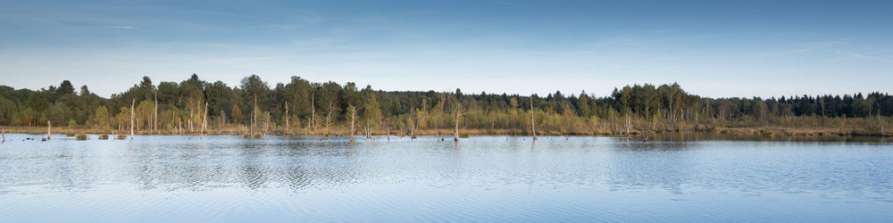 Scenic view of lake in forest against sky