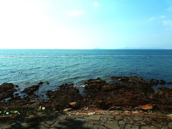 Scenic view of sea against clear sky