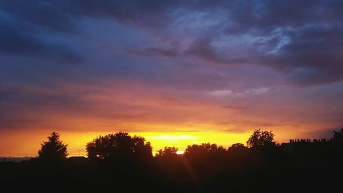 Silhouette of trees at sunset