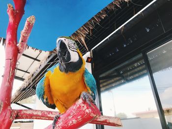 Low angle view of bird perching on roof