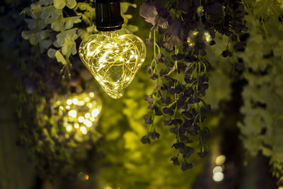 Heart shaped light bulb and beautiful lights