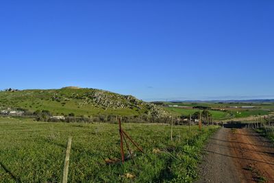 Scenic view of field against clear sky