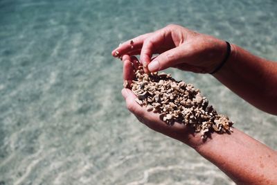 Cropped hand holding stones at beach