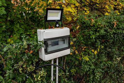 Close-up of vintage car