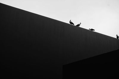 Low angle view of birds perching on building against sky