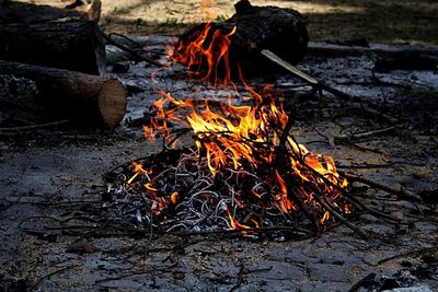 Bonfire on wooden logs in field