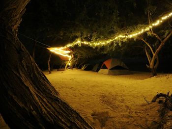 Illuminated beach at night