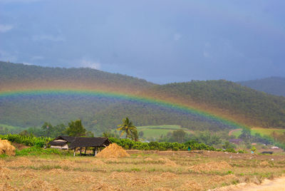 Scenic view of rainbow over field against sky