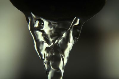 Close-up view of man