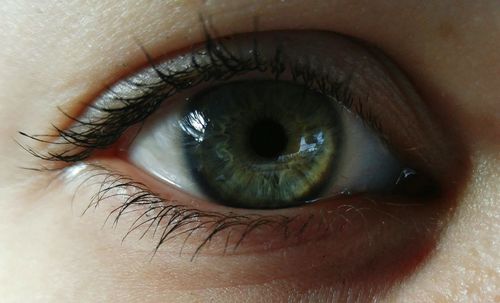 Close-up of green eye