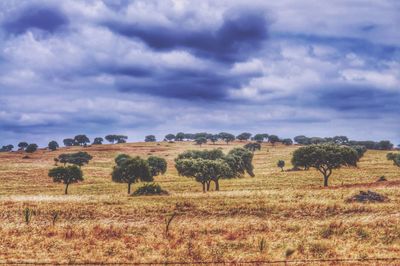 Scenic view of field against cloudy sky