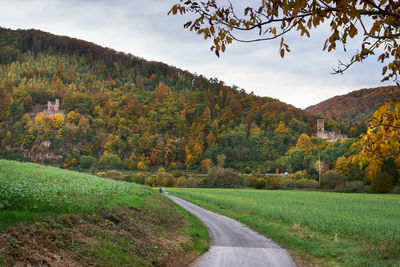 Road amidst trees against sky during autumn
