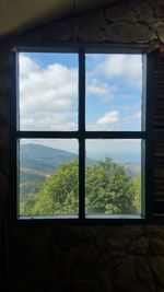 Trees against sky seen through window