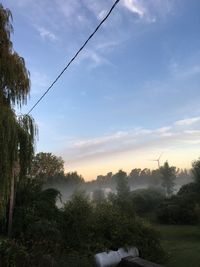 Trees against sky