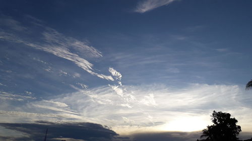 Low angle view of silhouette trees against sky