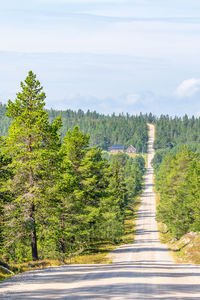 Road amidst trees in forest against sky