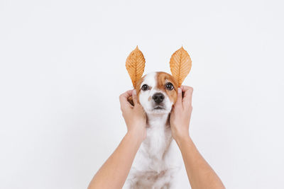 Portrait of man holding dog against white background