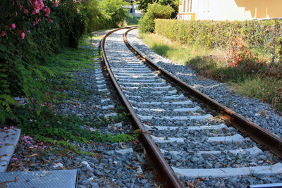 High angle view of railroad track amidst trees