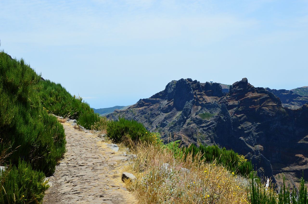 clear sky, the way forward, mountain, tranquility, tranquil scene, landscape, nature, scenics, road, copy space, beauty in nature, plant, rock - object, tree, non-urban scene, rock formation, sky, day, dirt road, hill