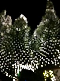Close-up of abstract lights against black background