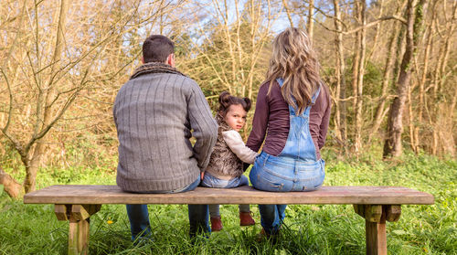 Rear view of people sitting on bench in park