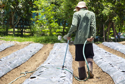 Man farmer watering plants in the organic vegetable farm in the countryside of chiang mai.