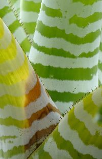 Close up of multi colored wall