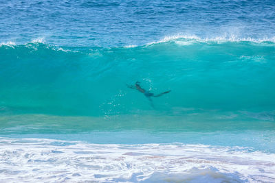 Man swimming in sea