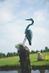 Bird perching on tree against sky